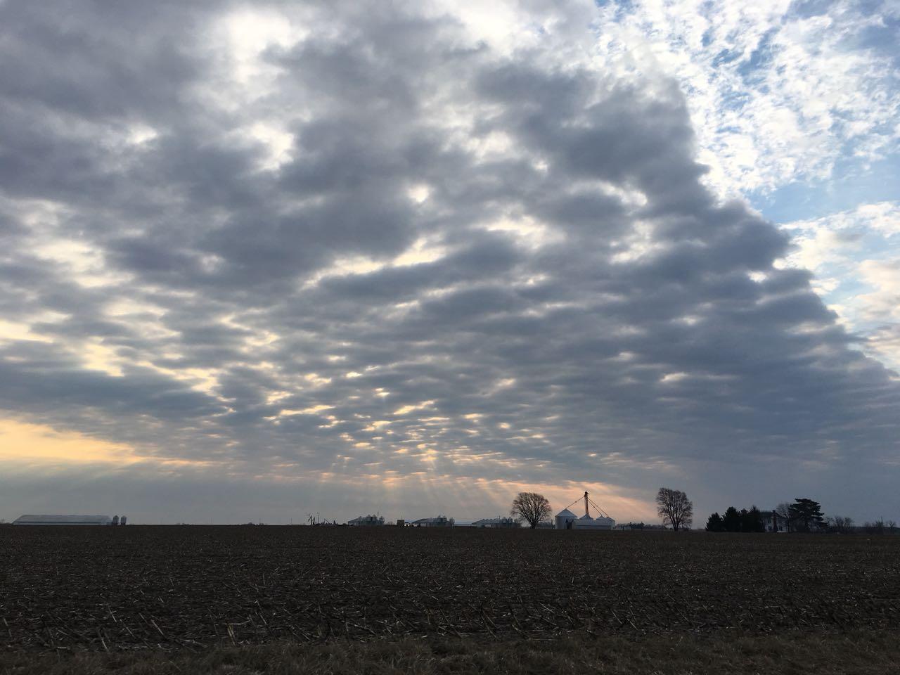 Lorem ipsum dolor sit amet, consectetur adipiscing elit. Aliquam iaculis, lectus ac